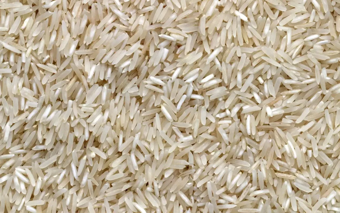 برنج ایرانی فجر هایلی 4.5 کیلوگرمی در بسته بندی های فانتزی!
